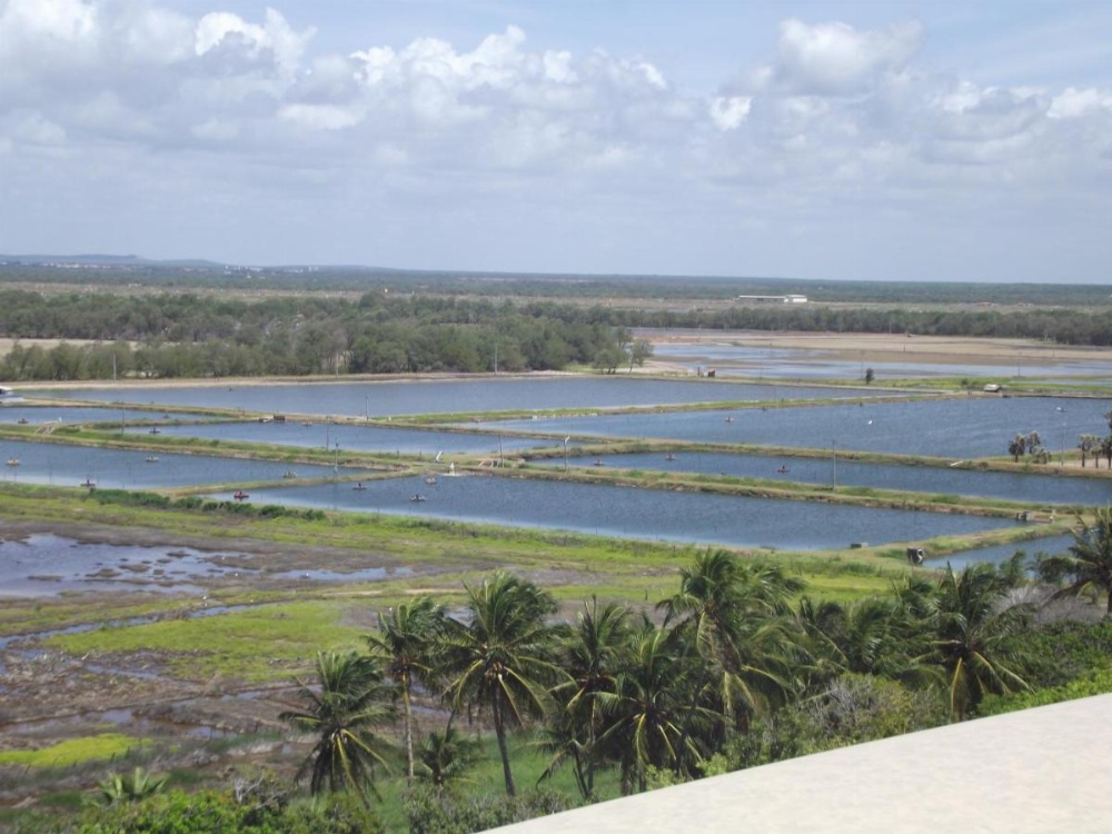 Apart Canoa Quebrada Image 18
