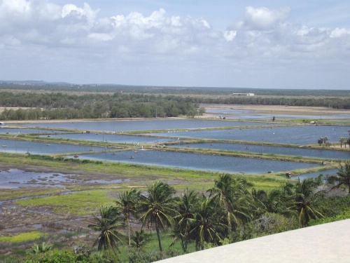 Apart Canoa Quebrada image 18